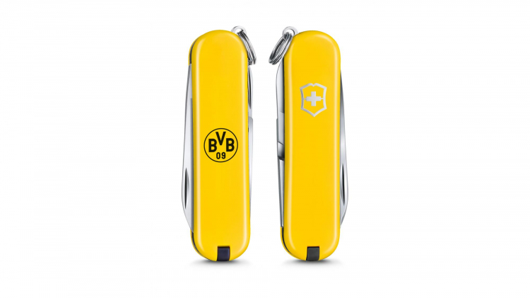 iv_Victorinox BVB Classic SD_1